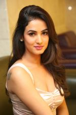 Sonal Chauhan Photoshoot on 1st june 2015